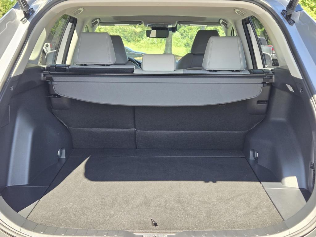 2019 Toyota RAV4 Limited - Photo 10